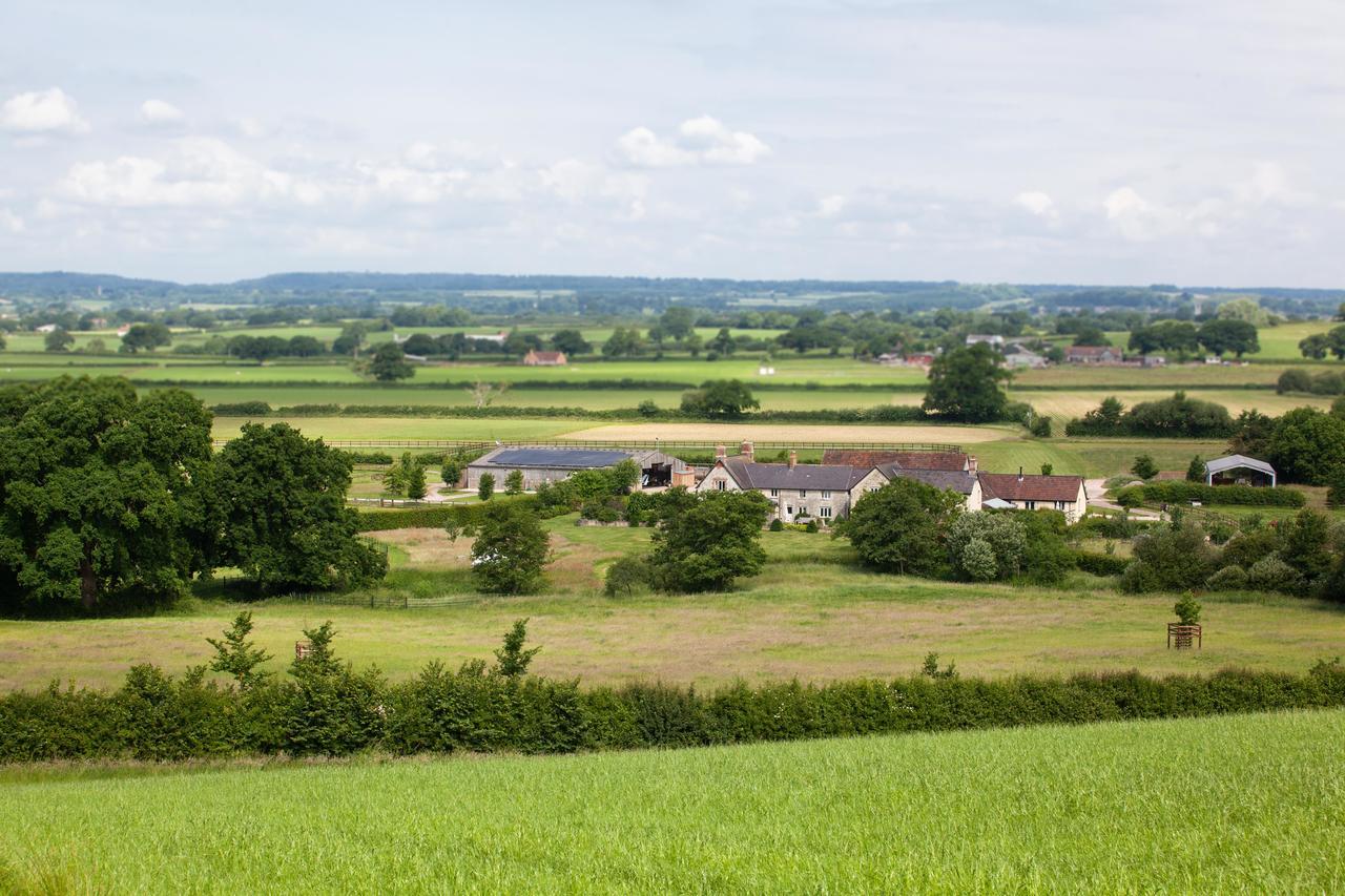 Gutchpool Farm Bed & Breakfast Gillingham  Dış mekan fotoğraf